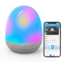 Govee RGBIC Smart Night Light