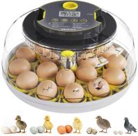 Incubator for Hatching Eggs